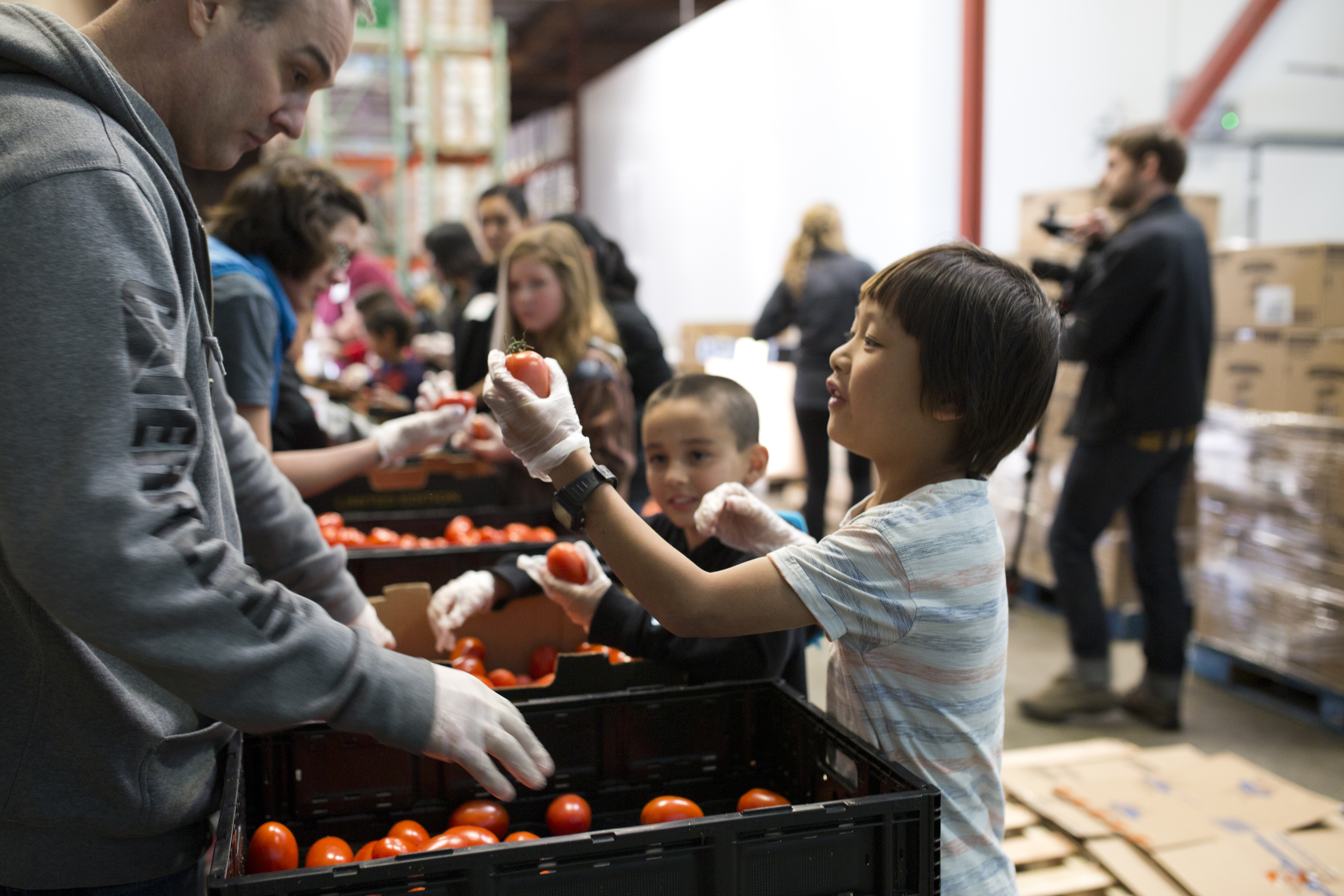 Un grupo de voluntarios clasificando tomates frescos juntos en el almacén de « Food Bank »