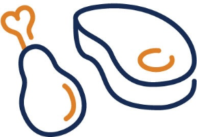 Protein